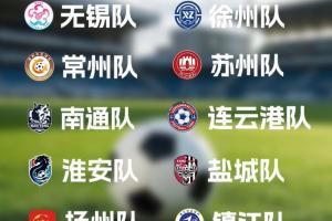 队徽边踢边改!无锡队、苏州队调整队徽!你最喜欢哪一个?
