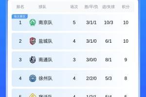 今天我是南哥?苏超积分榜:南京净胜球优势登顶 南通少赛两场
