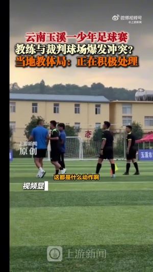  小球员看呆了😯青少年足球教练不满判罚动手打裁判，演变为群殴